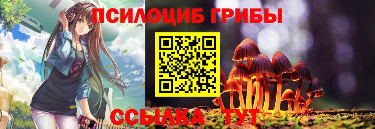 купить наркотик  Вход с VPN  Нововоронеж  Псилоцибиновые грибы Cubensis 